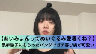 【あいみょんってぬいぐるみ愛凄くね？】黒柳徹子にもらったパンダでガチ喜び姿が可愛い