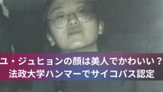 ユ・ジュヒョンの顔は美人でかわいい？法政大学ハンマーでサイコパス認定